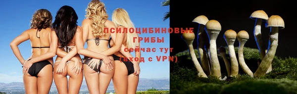 ALPHA-PVP Аркадак